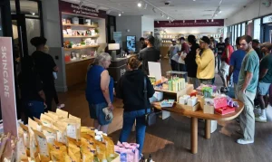 How Often Should Dispensaries Text Customers?